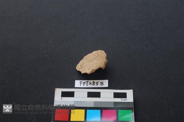 鹿骨藏品圖，第2張
