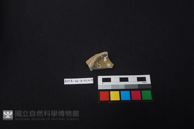 瓷片藏品圖，第2張