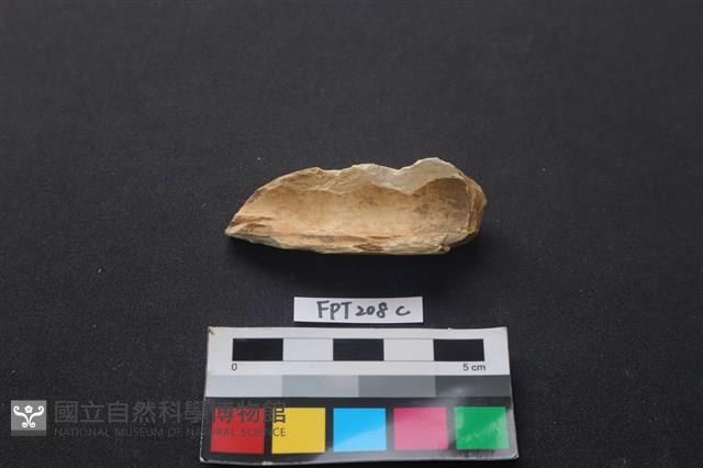 偶蹄類動物骨藏品圖，第2張