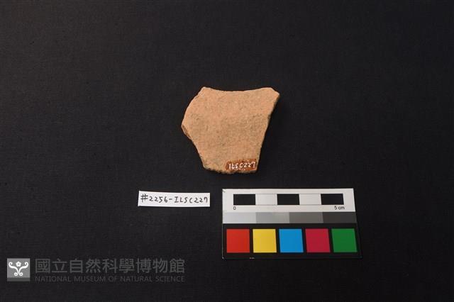 Accession Number:ILSC227 Collection Image, Figure 2, Total 2 Figures