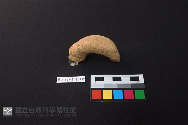 陶片藏品圖，第2張