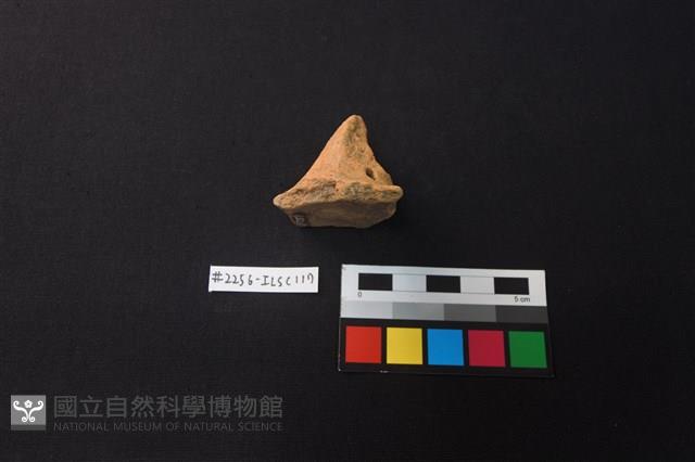 陶片藏品圖，第2張