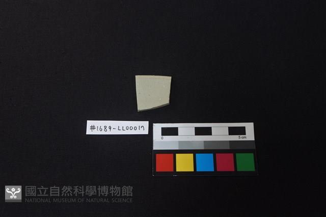 瓷片藏品圖，第2張