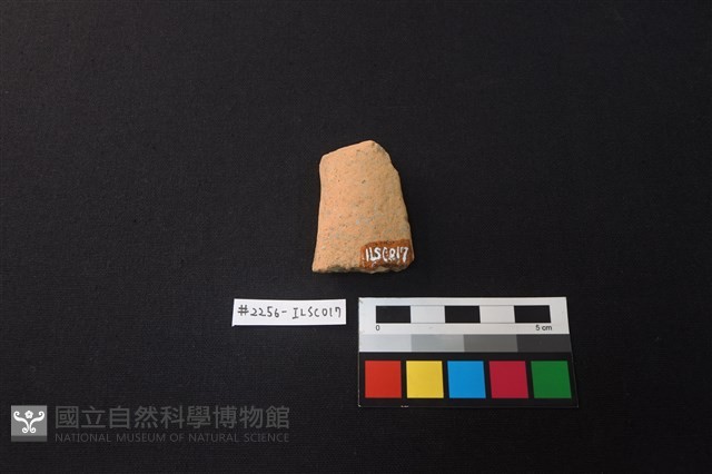 陶片藏品圖，第2張