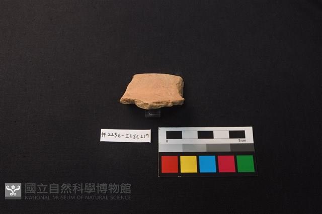 陶片藏品圖，第2張