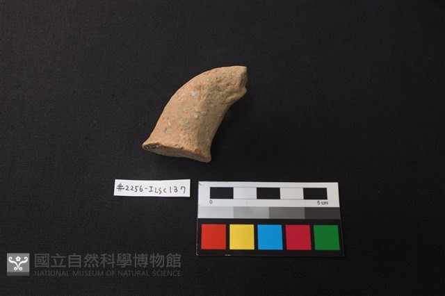 陶片藏品圖，第2張