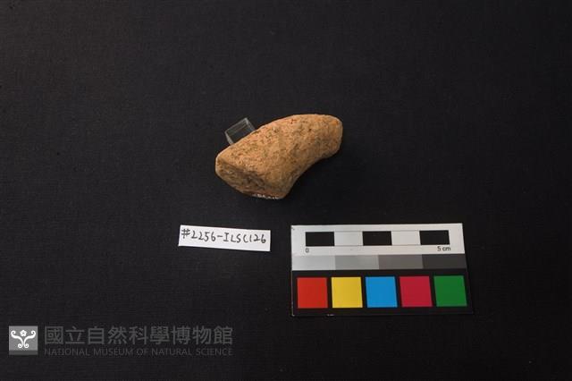 陶片藏品圖，第2張