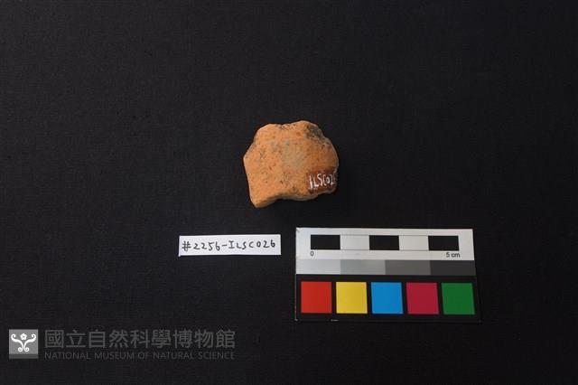 陶片藏品圖，第2張