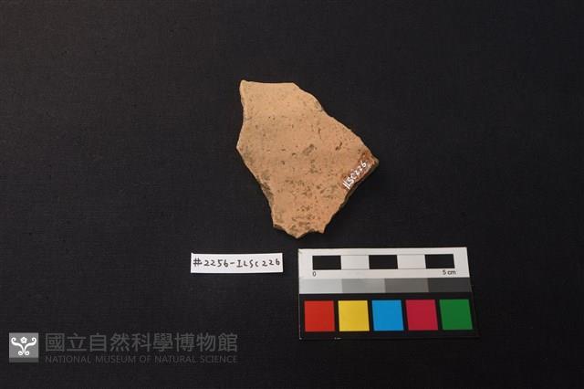 陶片藏品圖，第2張