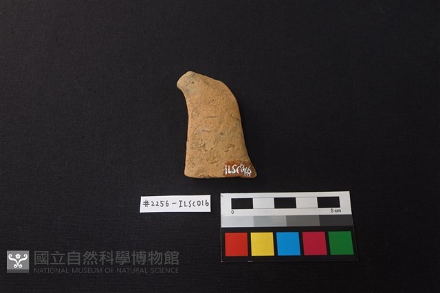 陶片藏品圖，第2張