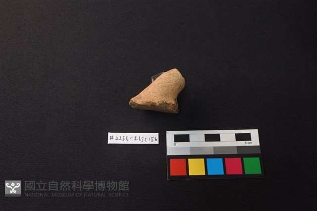 陶片藏品圖，第2張