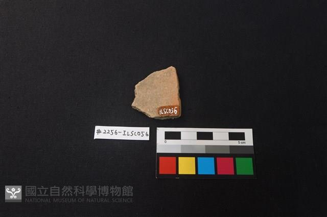 陶片藏品圖，第2張