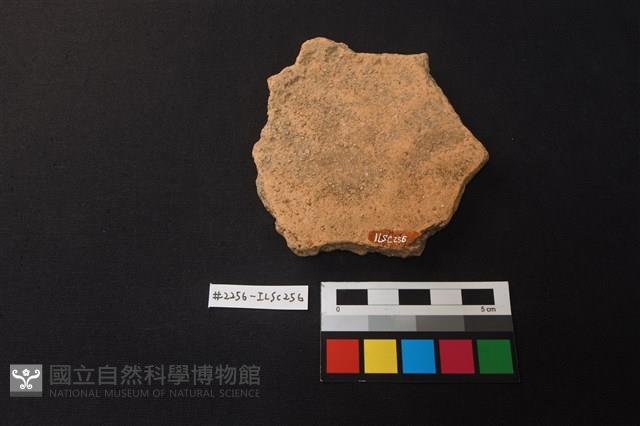 陶片藏品圖，第2張