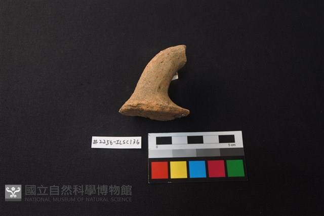 陶片藏品圖，第2張