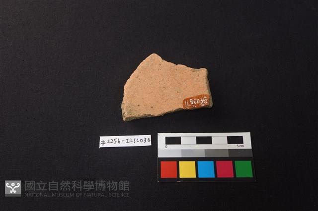 Accession Number:ILSC036 Collection Image, Figure 2, Total 2 Figures