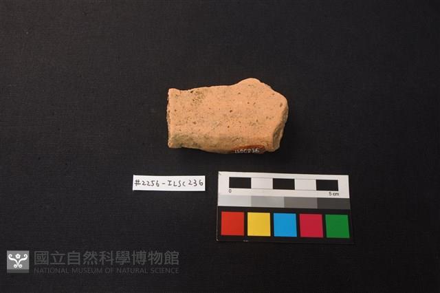 陶片藏品圖，第2張