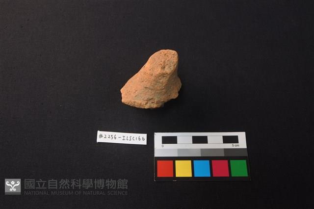 陶片藏品圖，第2張