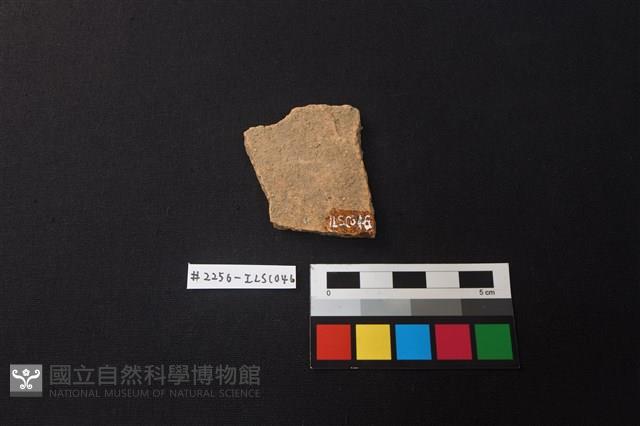 陶片藏品圖，第2張