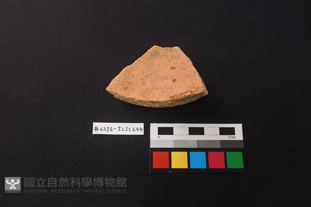 陶片藏品圖，第2張