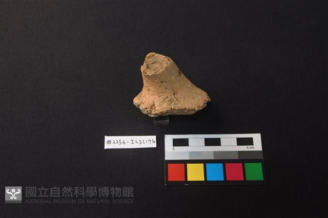 陶片藏品圖，第2張