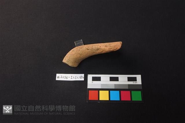 陶片藏品圖，第2張