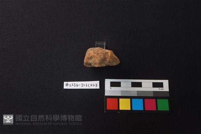 陶片藏品圖，第2張