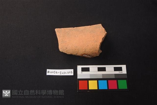 陶片藏品圖，第2張