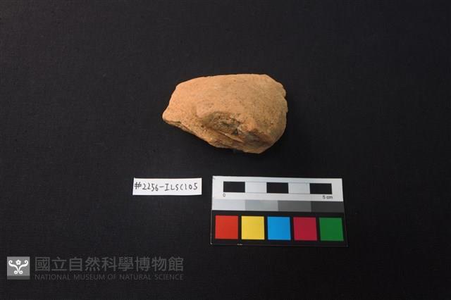 陶片藏品圖，第2張