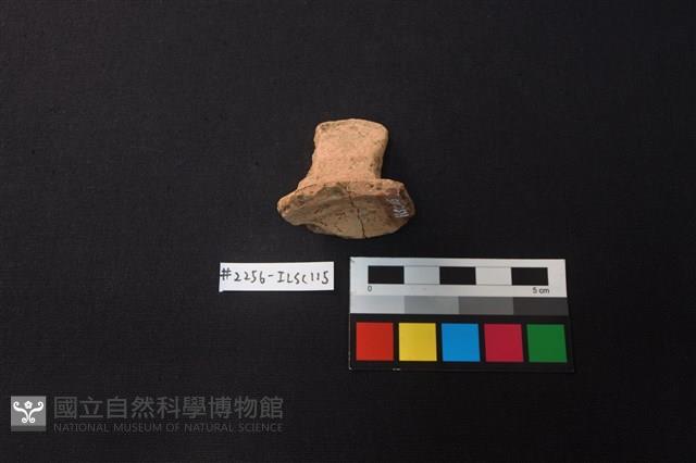 陶片藏品圖，第2張