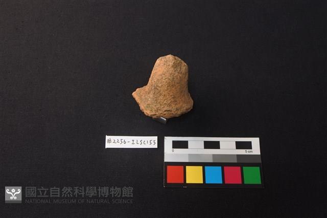 陶片藏品圖，第2張