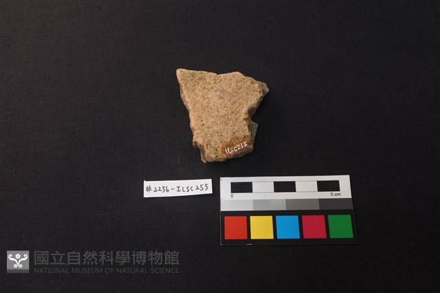 陶片藏品圖，第2張
