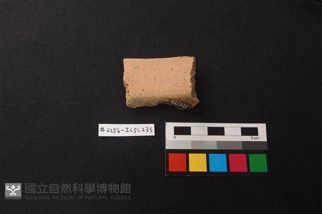 陶片藏品圖，第2張