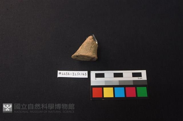 陶片藏品圖，第2張