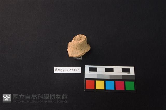 陶片藏品圖，第2張