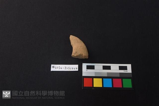 陶片藏品圖，第2張