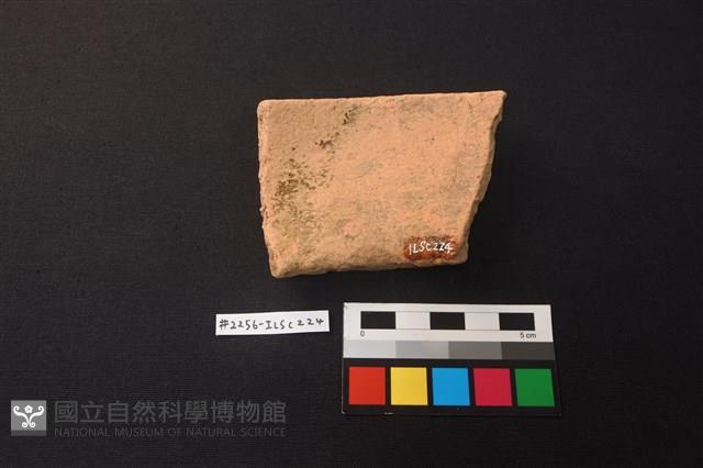 陶片藏品圖，第2張