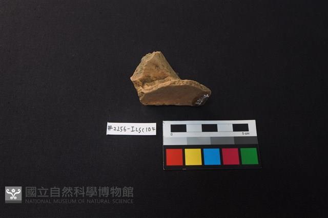 Accession Number:ILSC104 Collection Image, Figure 2, Total 2 Figures