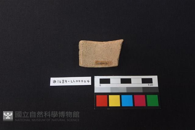 陶片藏品圖，第2張