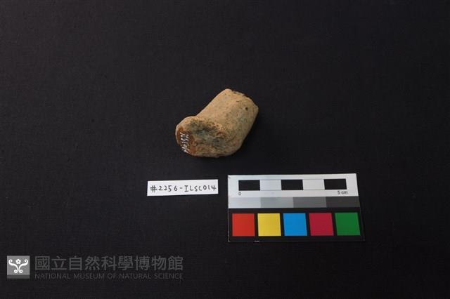 陶片藏品圖，第2張