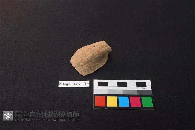 陶片藏品圖，第2張