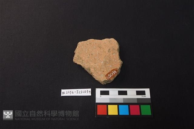 Accession Number:ILSC034 Collection Image, Figure 2, Total 2 Figures