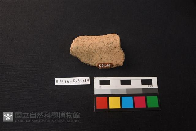 陶片藏品圖，第2張