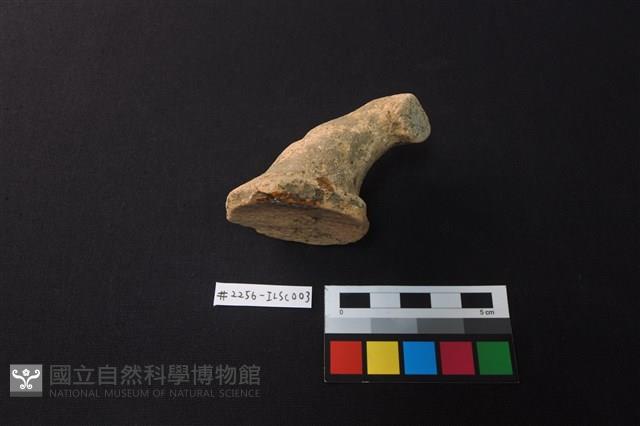 陶片藏品圖，第2張