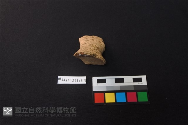 陶片藏品圖，第2張