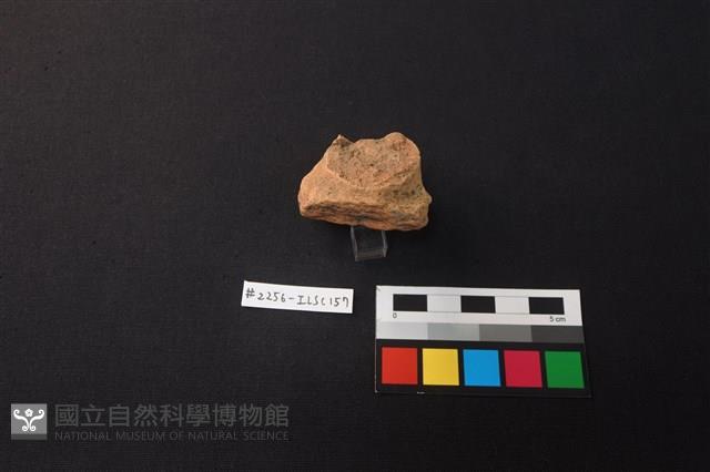 陶片藏品圖，第2張