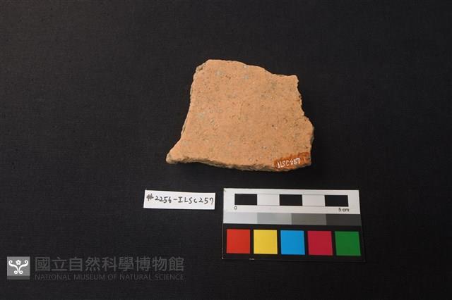 陶片藏品圖，第2張