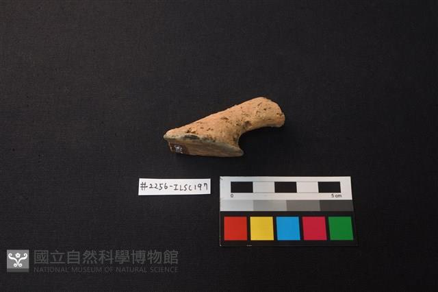 陶片藏品圖，第2張