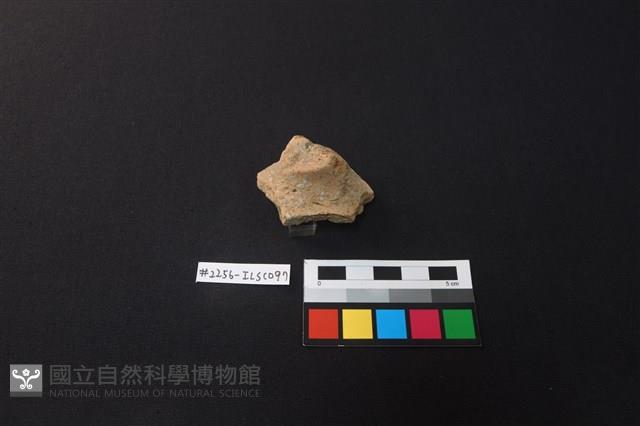 陶片藏品圖，第2張