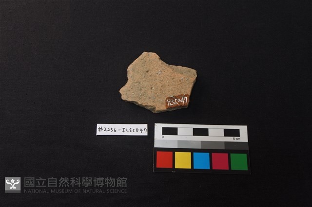 陶片藏品圖，第2張