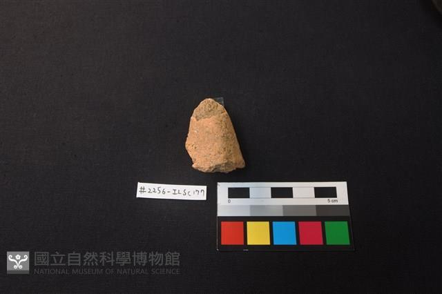 陶片藏品圖，第2張